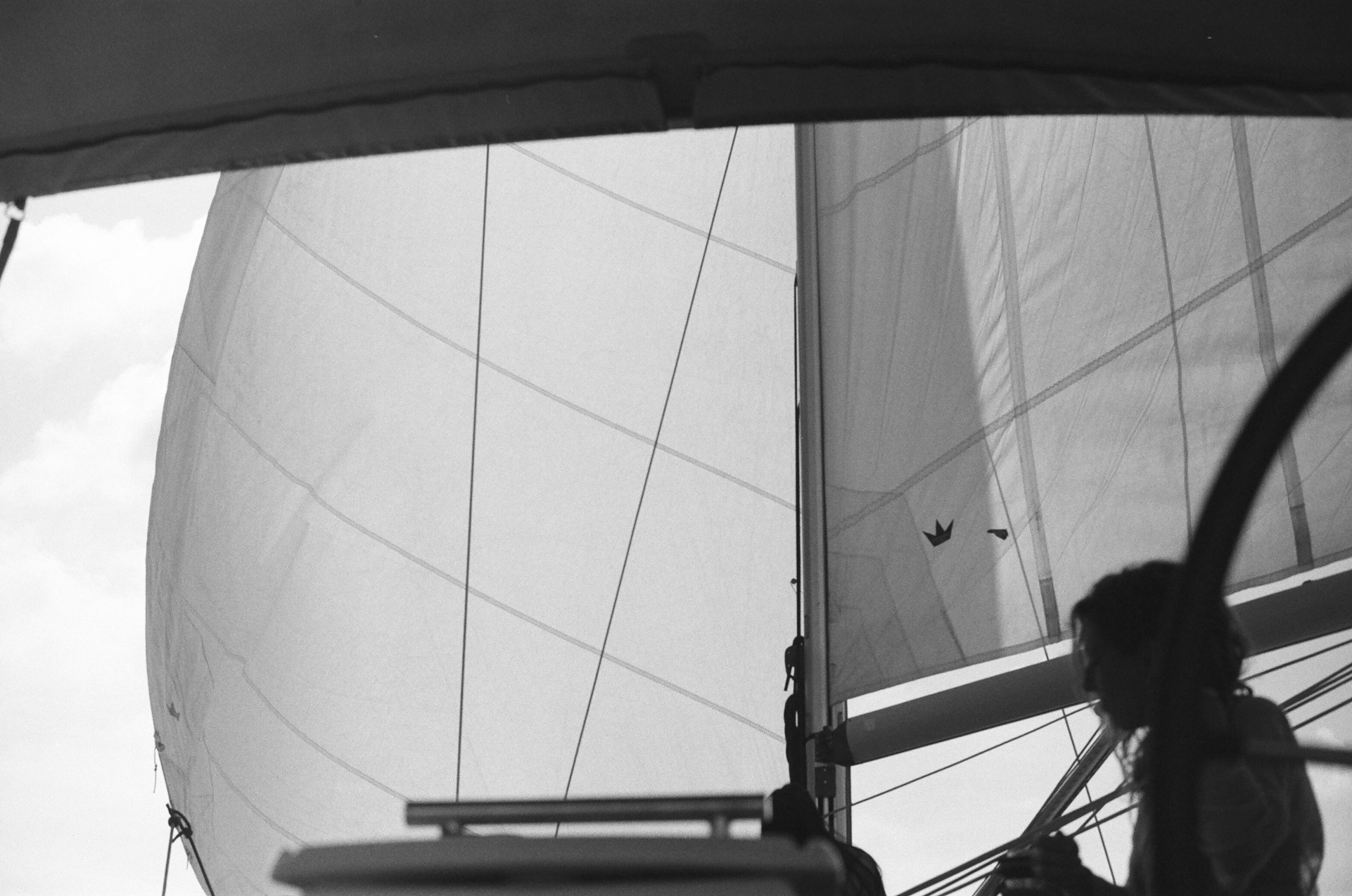 Naples_Sailing Collective_sailing (17 of 19)